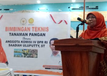 Komisi IV DPR RI, Saadia Uluputty Gandeng Kementan RI Gelar Bimtek Tanaman Pangan di Kabupaten Buru