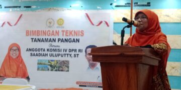 Komisi IV DPR RI, Saadia Uluputty Gandeng Kementan RI Gelar Bimtek Tanaman Pangan di Kabupaten Buru