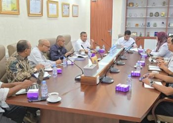 Ahmad Riza Patria Wakil Kemendes PDT,  Menerima Audiensi Bupati Bursel La Hamidi