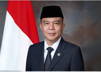 Sufmi Dasco Ahmad Layak Melanjutkan Estafet Kepemimpinan Presiden Prabowo Kedepan