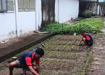 Kepala Rutan Ambon, Ferdika Canra Dorong Program Ketahanan Pangan Nasional