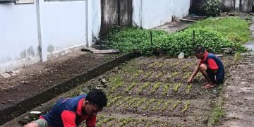 Kepala Rutan Ambon, Ferdika Canra Dorong Program Ketahanan Pangan Nasional