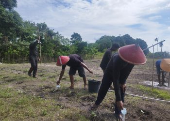 Tingkatkan Produktivitas Pertanian, Poktan Lapas Namlea Aplikasikan Pupuk NPK Pada Tanaman Buncis