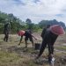 Tingkatkan Produktivitas Pertanian, Poktan Lapas Namlea Aplikasikan Pupuk NPK Pada Tanaman Buncis
