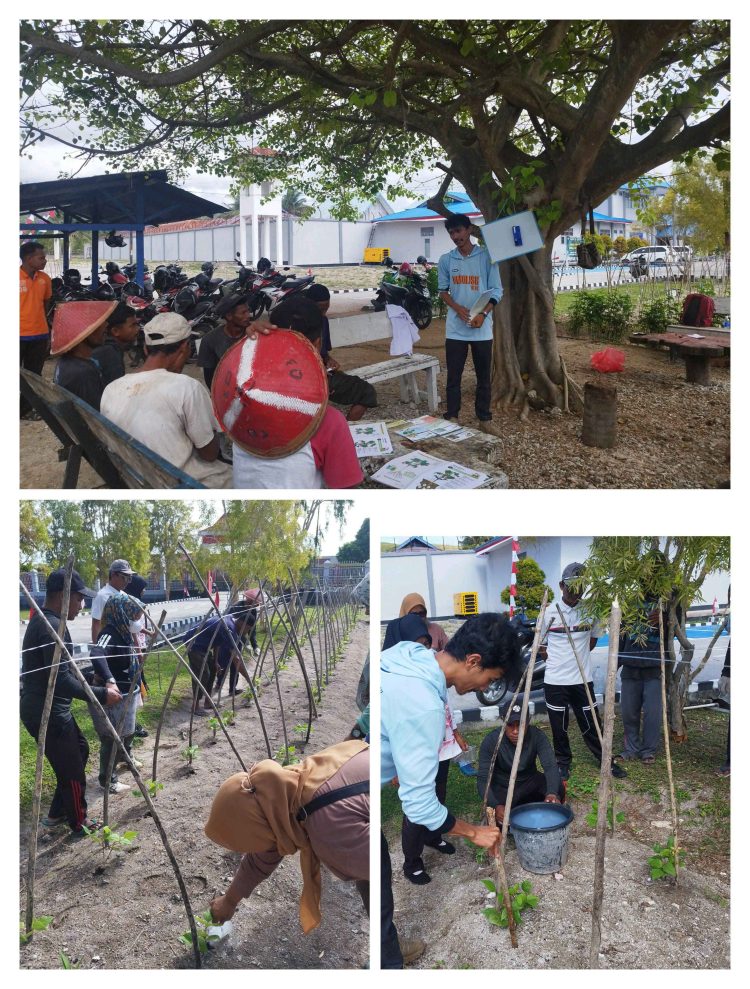 Poktan Lapas Namlea Dapat Penyuluhan dari Dinas Pertanian dan Yayasan Bina Tani Sejahtera