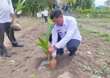 Dukung Ketahanan Pangan Nasional, Lapas Namlea Ikut Gerakan Nasional Penanaman 150 Pohon Kelapa
