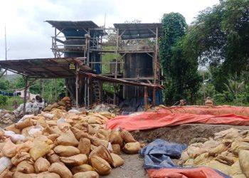 Membahayakan, Aktifitas Tong di Widit Kabupaten Buru   Ancam Cemari Ratusan Ha Sawah Dengan Limbah Beracun