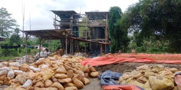 Membahayakan, Aktifitas Tong di Widit Kabupaten Buru   Ancam Cemari Ratusan Ha Sawah Dengan Limbah Beracun