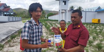 Atasi Hama Pertanian, Lapas Namlea Terima Bantuan Obat-Obatan dari YBTS