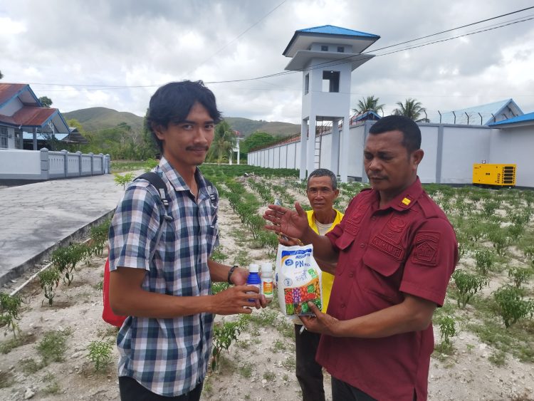 Atasi Hama Pertanian, Lapas Namlea Terima Bantuan Obat-Obatan dari YBTS