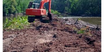 HMI Tuding CV Masrah Indah Rusaki Ratusan Hektar Hutan Mangrove di Teluk Kaiely