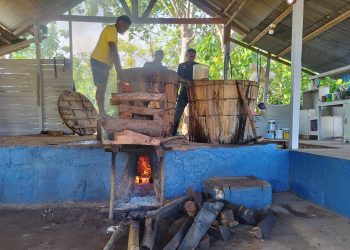 Terus Konsisten, Lapas Namlea Masifkan Produksi Minyak Kayu Putih 86