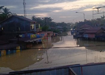 Masyarakat Desa Tanjung Pura Terancam Mati Kelaparan