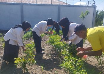 Hasil Giat SAE Warga Binaan Lapas Namlea Dapat Banyak Tawaran