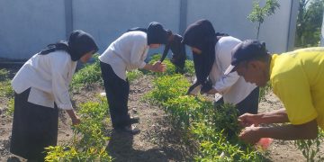 Hasil Giat SAE Warga Binaan Lapas Namlea Dapat Banyak Tawaran