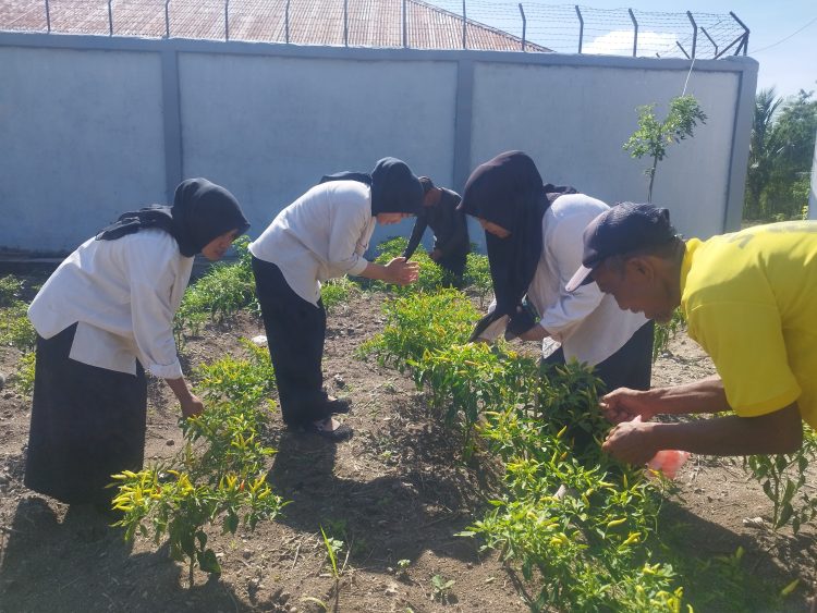 Hasil Giat SAE Warga Binaan Lapas Namlea Dapat Banyak Tawaran