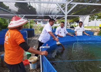 Tingkatkan Efisiensi Budidaya Ikan Nila, Lapas Namlea Terapkan Metode Bioflok