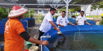 Tingkatkan Efisiensi Budidaya Ikan Nila, Lapas Namlea Terapkan Metode Bioflok