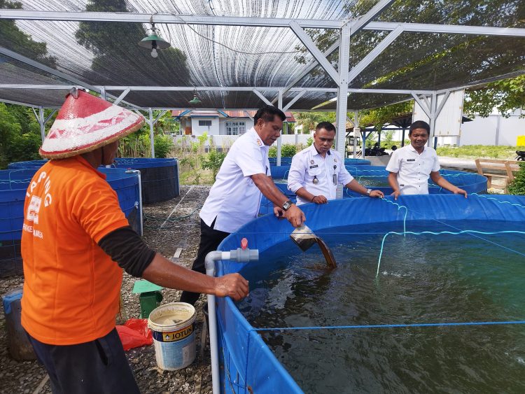 Tingkatkan Efisiensi Budidaya Ikan Nila, Lapas Namlea Terapkan Metode Bioflok