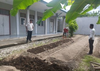 Jaga Kualitas Pertanian, Kalapas Namlea Pantau Pengaplikasian Pupuk Organik