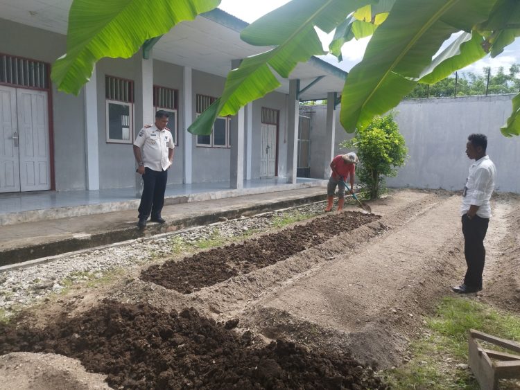 Jaga Kualitas Pertanian, Kalapas Namlea Pantau Pengaplikasian Pupuk Organik