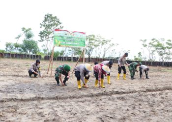 Wakapolres Buru Pimpin Penanaman Jagung Kuartal I di Namlea