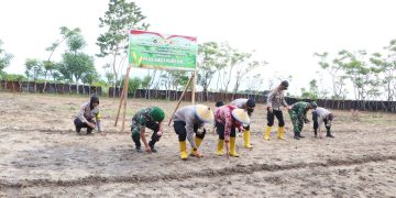 Wakapolres Buru Pimpin Penanaman Jagung Kuartal I di Namlea