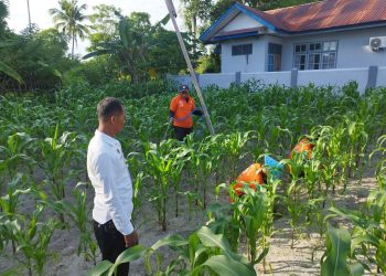 Puasa Tetap Produktif, Warga Binaan Lapas Namlea Aktif Berkebun