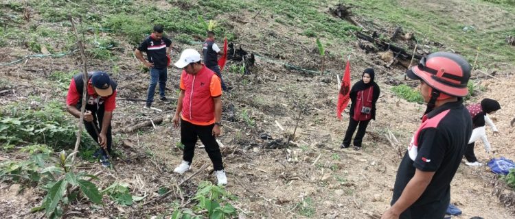 Dari Timur Indonesia, PDIP Buru Selatan  Gaungkan Kemandirian Pangan Lokal
