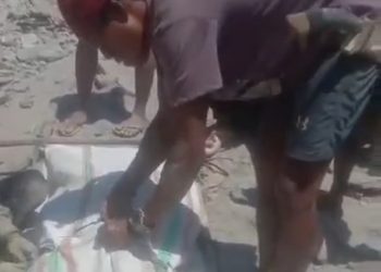 Tambang Emas Ilegal Gunung Nona Minta Korban, Ahmad Tewas Tertimbun Tanah Longsor